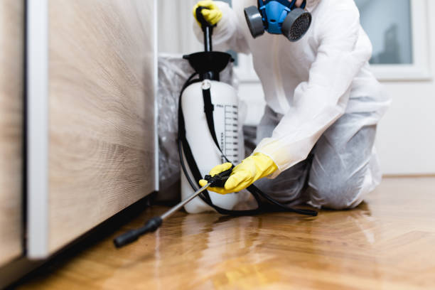 Best Pest Control Near Me in Hugoton, KS