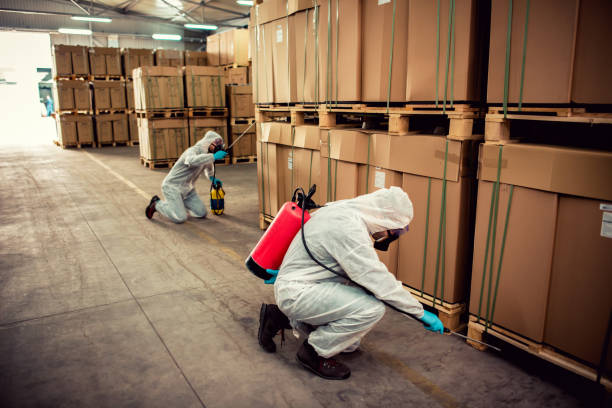 Best Termite Control Services  in Hugoton, KS