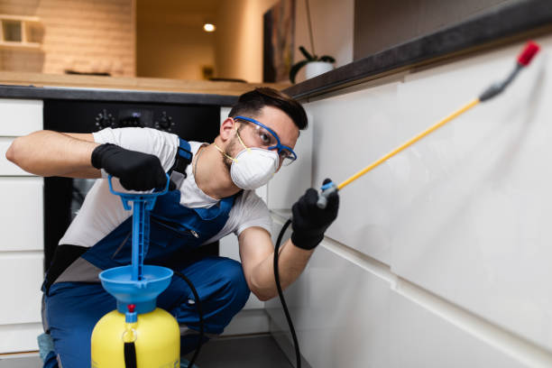 Best Best Pest Control Companies  in Hugoton, KS
