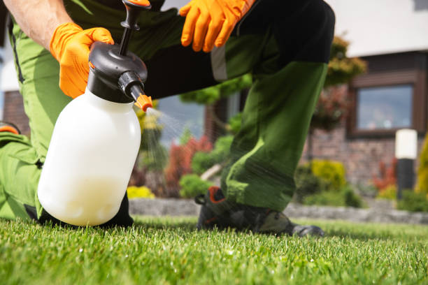 Professional Pest Control in Hugoton, KS