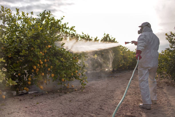 Best Cockroach Control Services  in Hugoton, KS