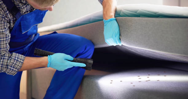 Best Affordable Pest Control Services  in Hugoton, KS