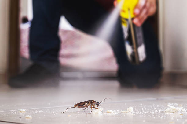 Best Residential Pest Control  in Hugoton, KS