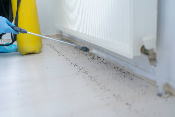 Best Affordable Pest Control Services  in Hugoton, KS