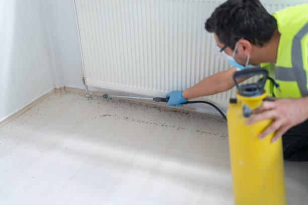 Best Flea Control Services  in Hugoton, KS