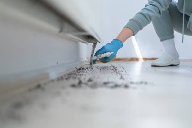 Best Pest Prevention Services  in Hugoton, KS