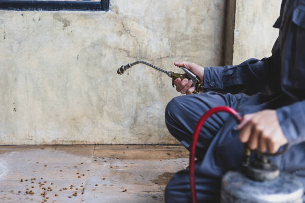Best Commercial Pest Control Services  in Hugoton, KS